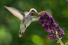 Innovation to empower creativity: Explore the latest in Lightroom