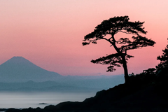 New Adobe Lightroom AI innovations empower everyone to edit like a pro